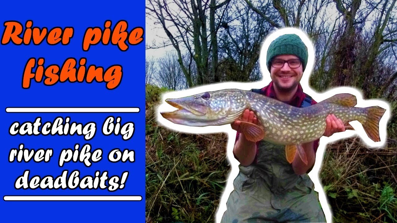 PIKE FISHING|float fishing and roving for BIG PIKE!