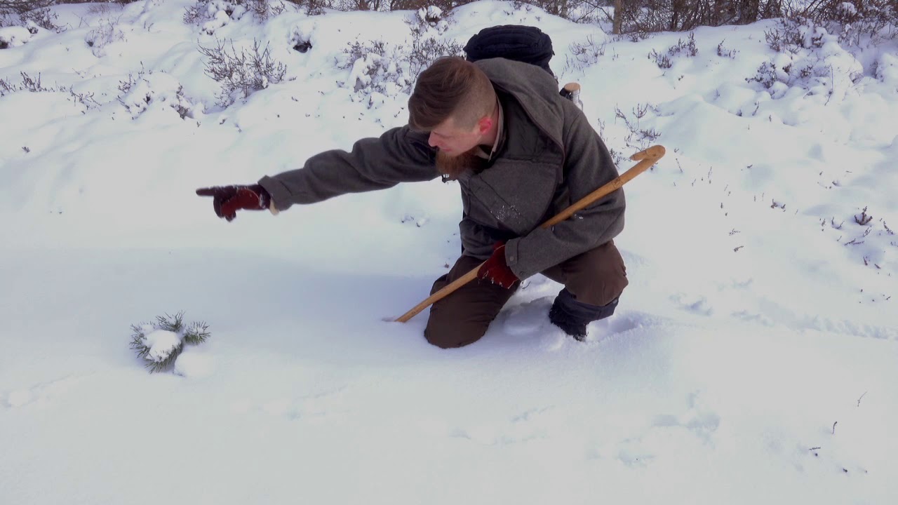 Unterwegs mit Ranger Hauke - Winterwanderung im Moor