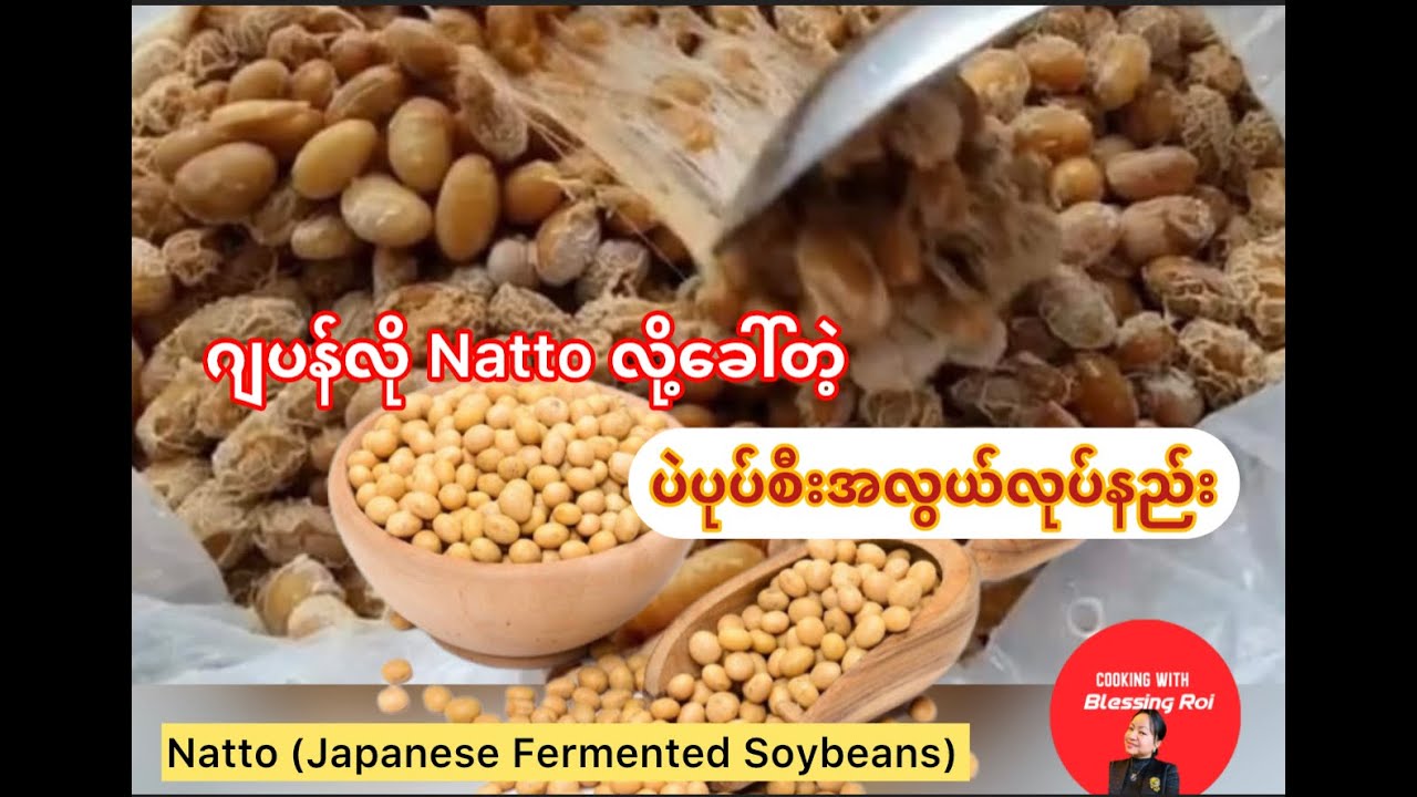 *239*Japanese Natto Soybean, ပဲပုပ်စီးအလွယ်လုပ်နည်း၊ ကြွပ်ကြွပ်အိပ်နဲ့ ပဲပုပ်စီးအလွယ်လေးလုပ်စားမယ်