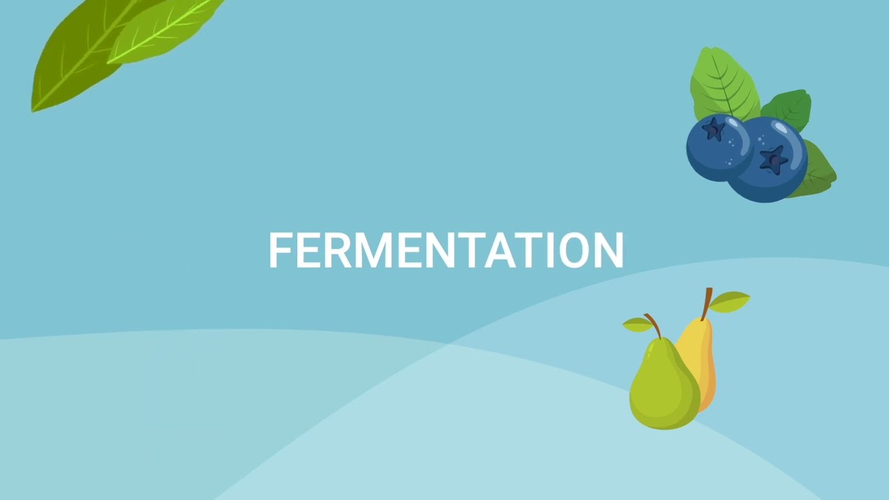 Au cœur des arômes 4 : Pourquoi créer des arômes de synthèse ?