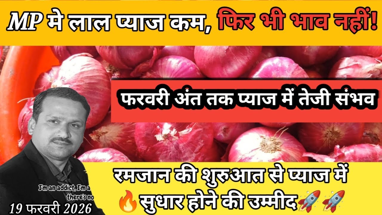 MP में लाल प्याज की कमी, मंडियो मे कम आवक फिर भी भाव नहीं! क्या फरवरी अंत तक सुधार संभव है