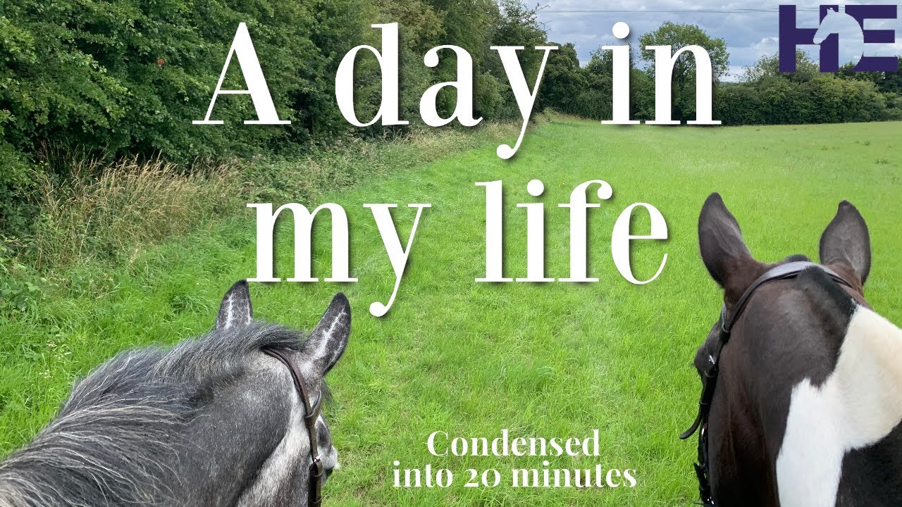 WHAT A NORMAL SATURDAY LOOKS LIKE FOR ME | DAY IN MY LIFE VLOG | HACKETT EQUINE