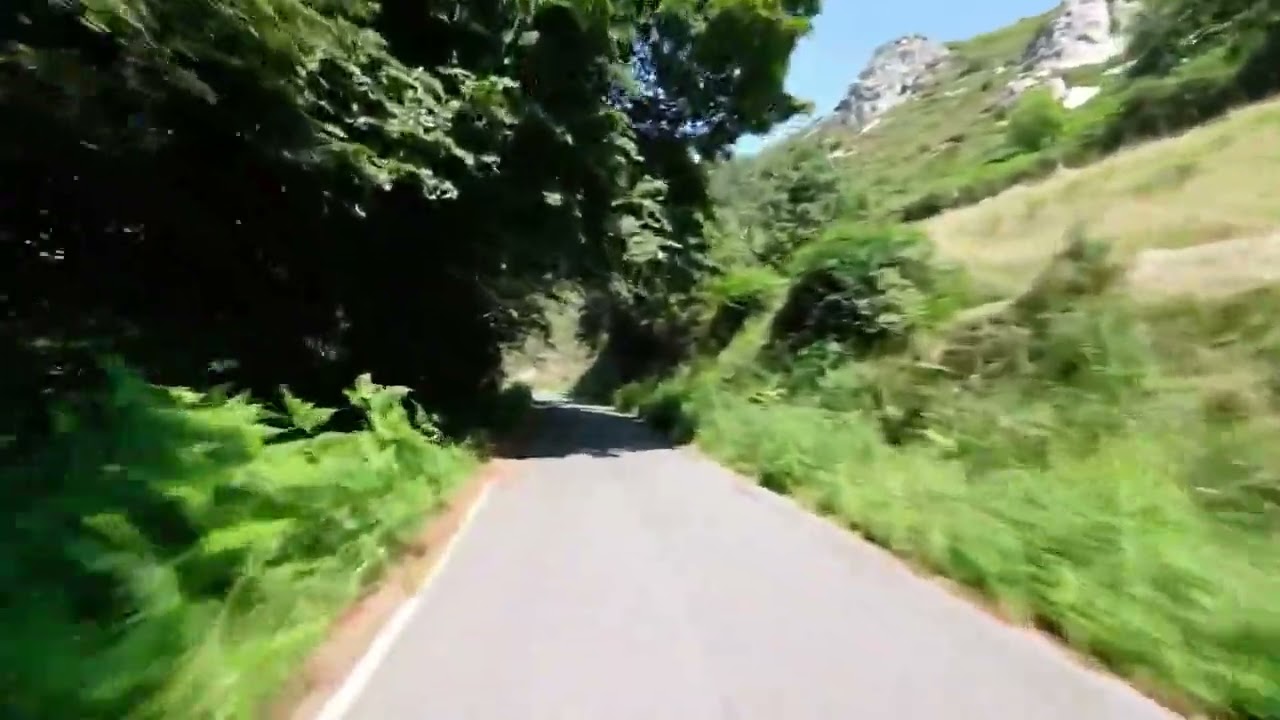 Imporre partito rappresentare disposizione no 8004190