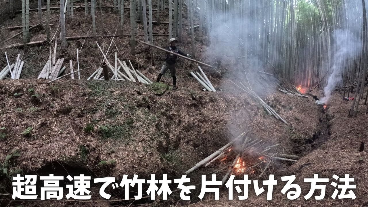 効率最優先の竹林整備です