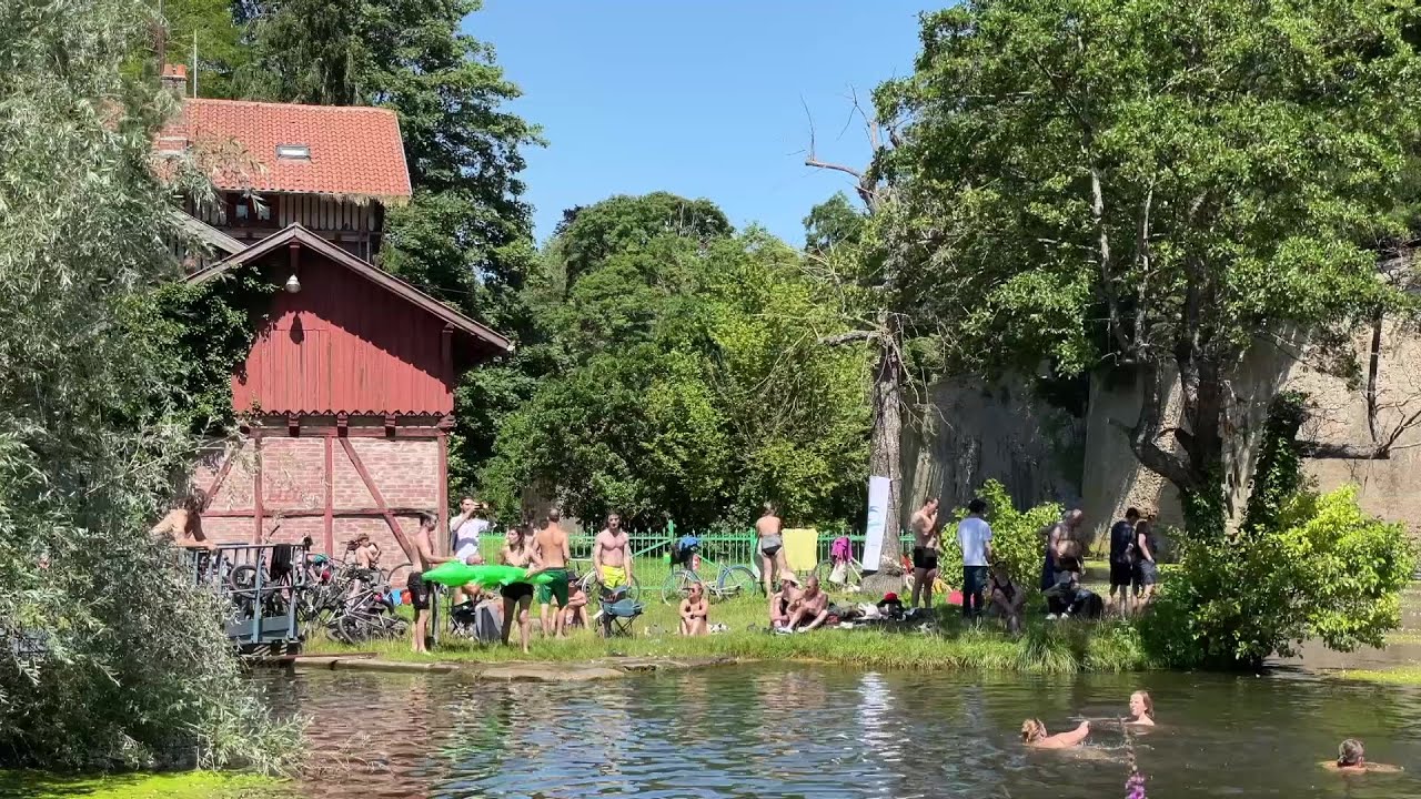 Une baignade naturelle et militante dans le canal de Jouy