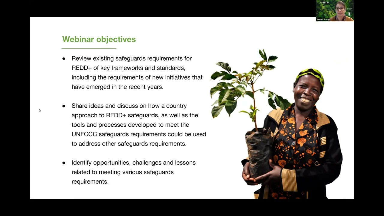 UN-REDD webinar on REDD+ safeguards requirements day 1.