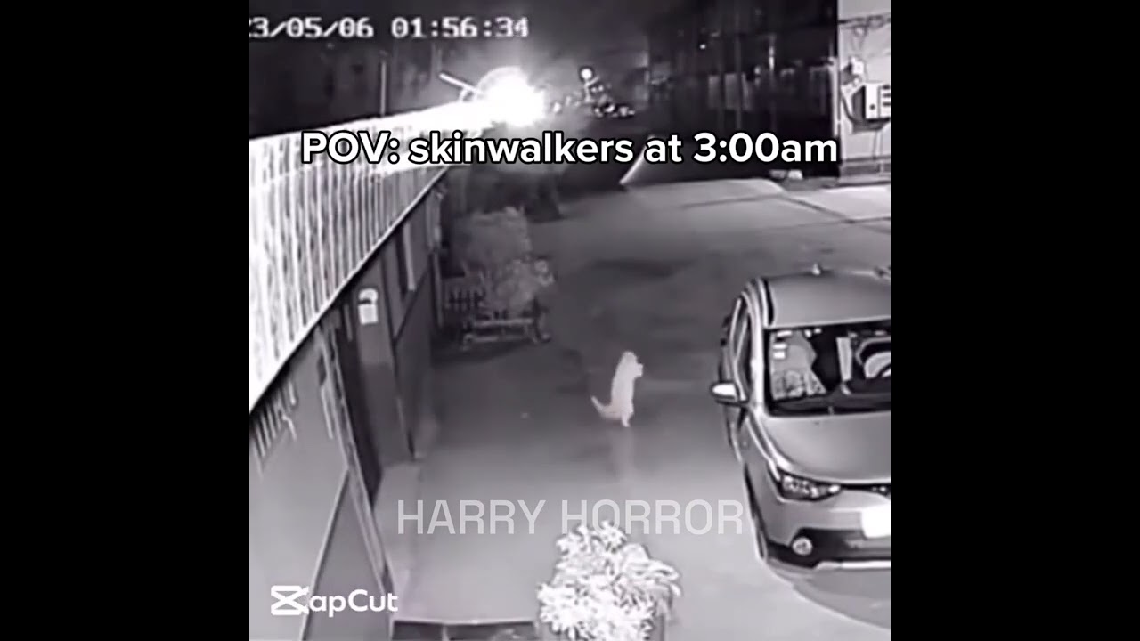POV: skinwalkers at 3:00am be like 😂😂😂 #skinwalker #3am #funny #shorts #funnyclips