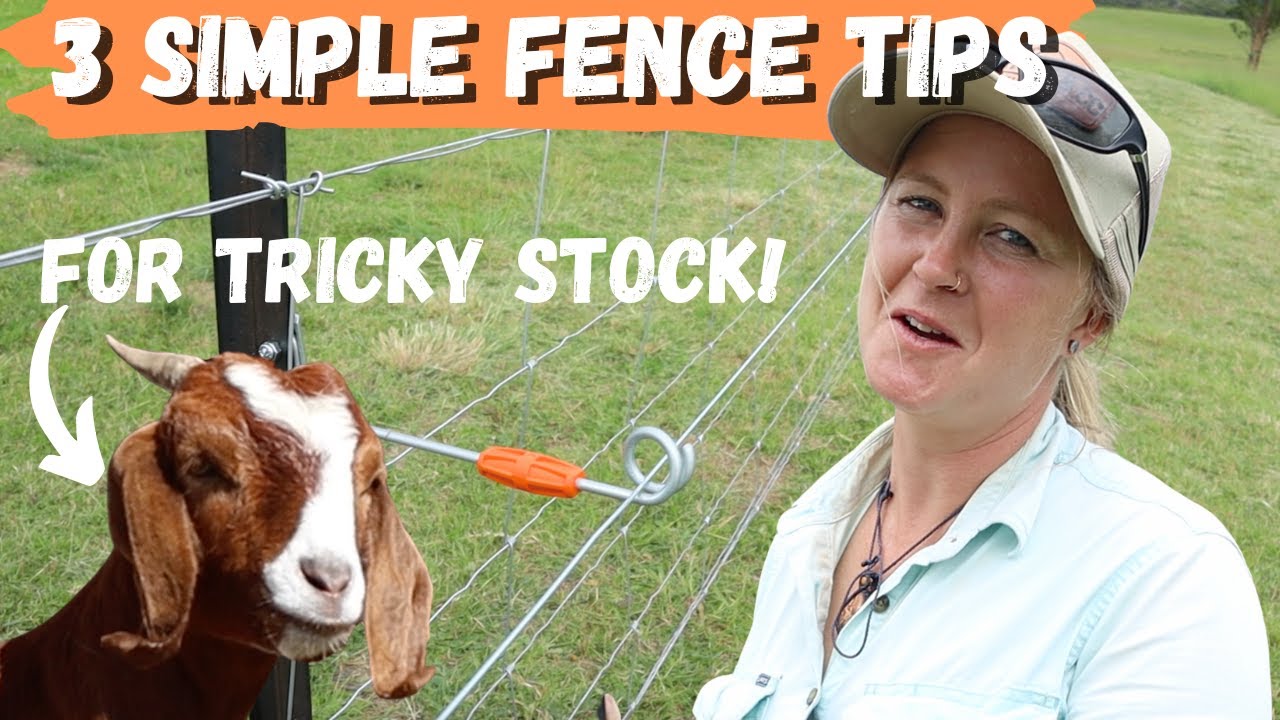 3 Fencing Tips Every Farmer Should Know – Alice’s Fence Setup!