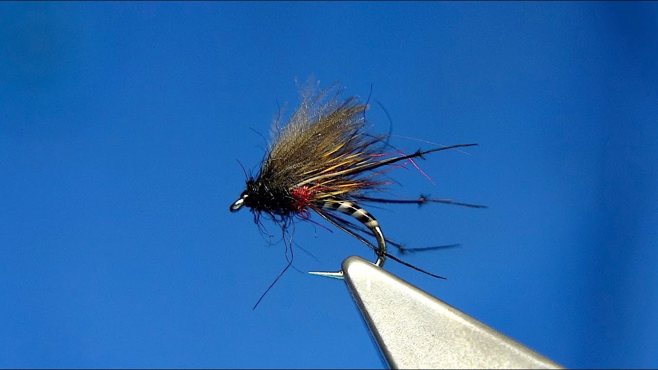 Tying a Quilled Body Bibio Half-Hog by Davie McPhail