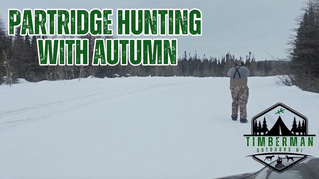 Partridge Hunting with Autumn in The Big Land | Timberman Outdoors NL