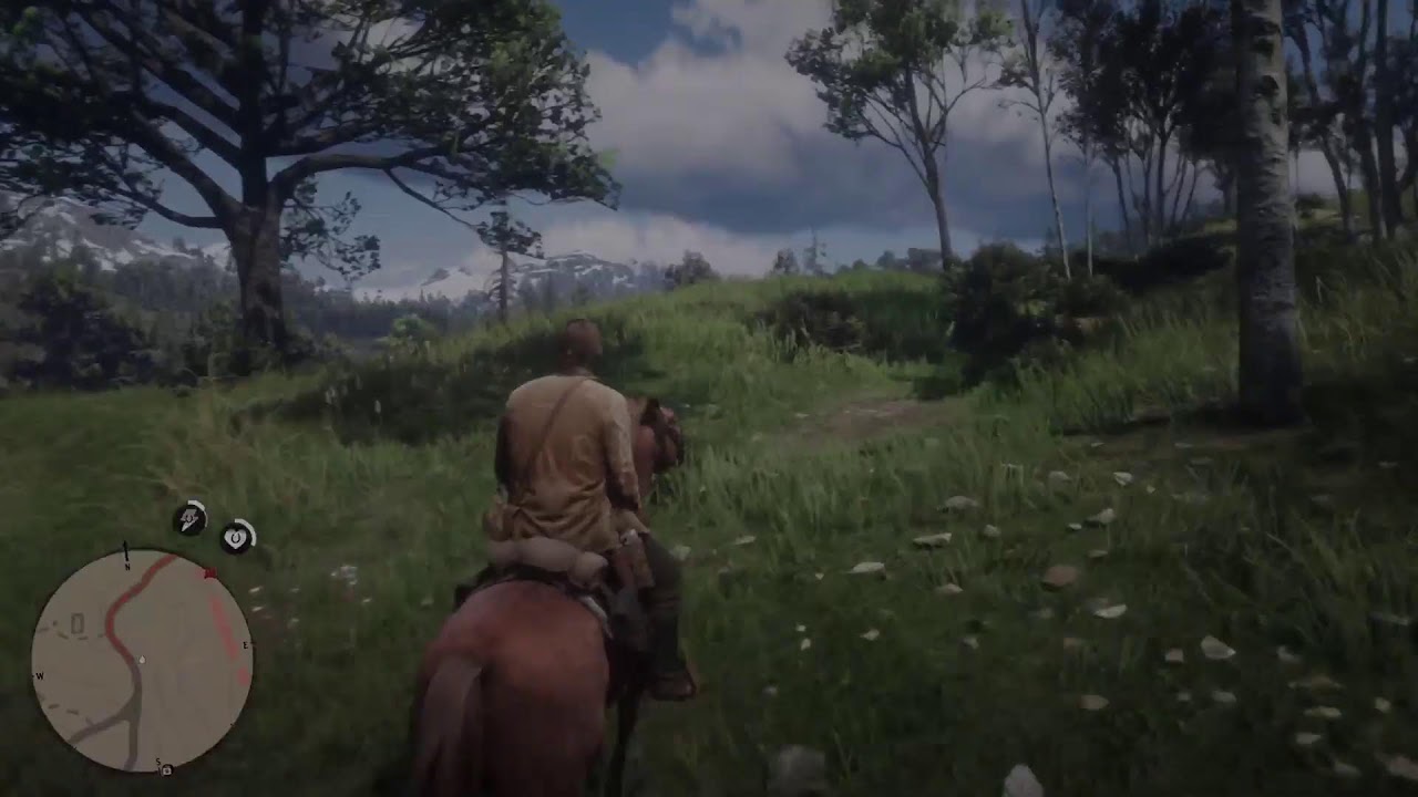 Gramy w rdr2!