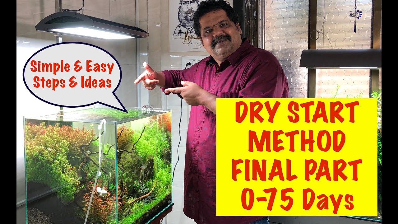 How to Setup Planted Aquarium in Dry Start Method, Final Part #Easy Step by Step guide for Beginners