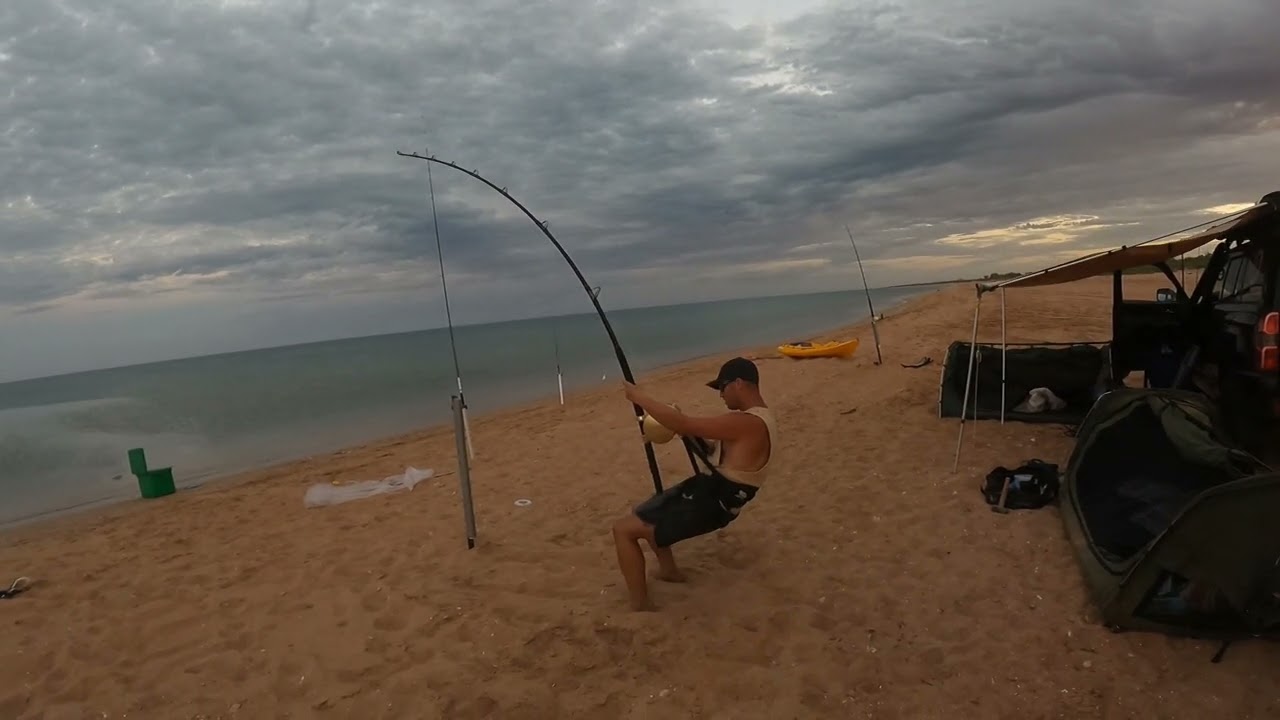 Sharkfishing in Western Australia BIG 12 FOOT PLUS LANDED (LBSF)