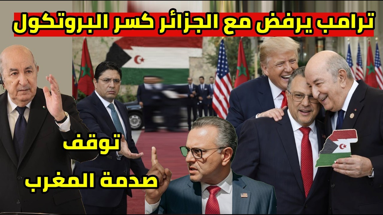 ترامب يفاجئ الجزائر  و يصدم المغرب و مسعد بولس يرفض لب بوريطة في الصحراء الغربية
