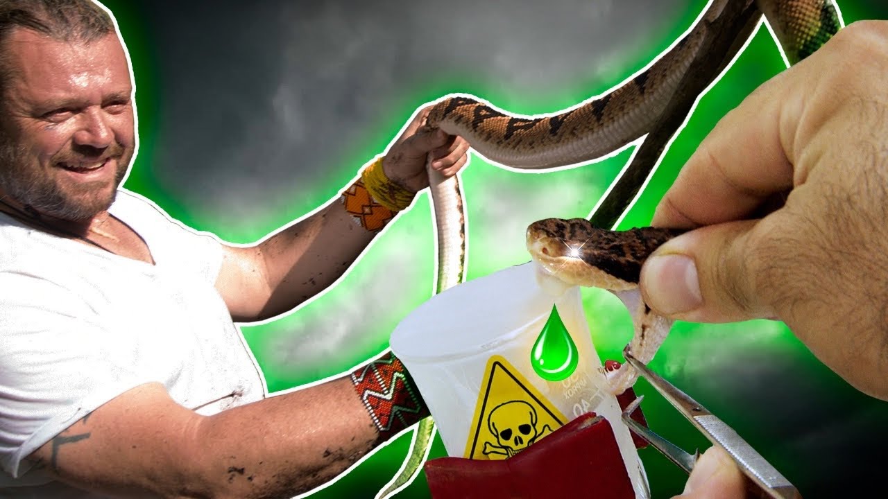 EXTRAINDO VENENO DA SERPENTE MAIS TEMIDA DA AMAZÔNIA! | RICHARD RASMUSSEN