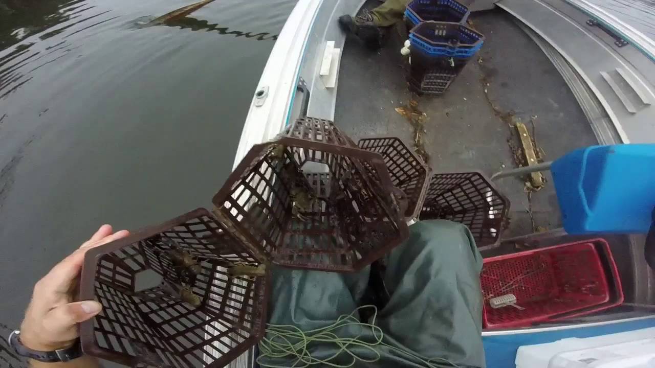 Ravustusta-Kräftning-Crayfishing @FiskarsVillage