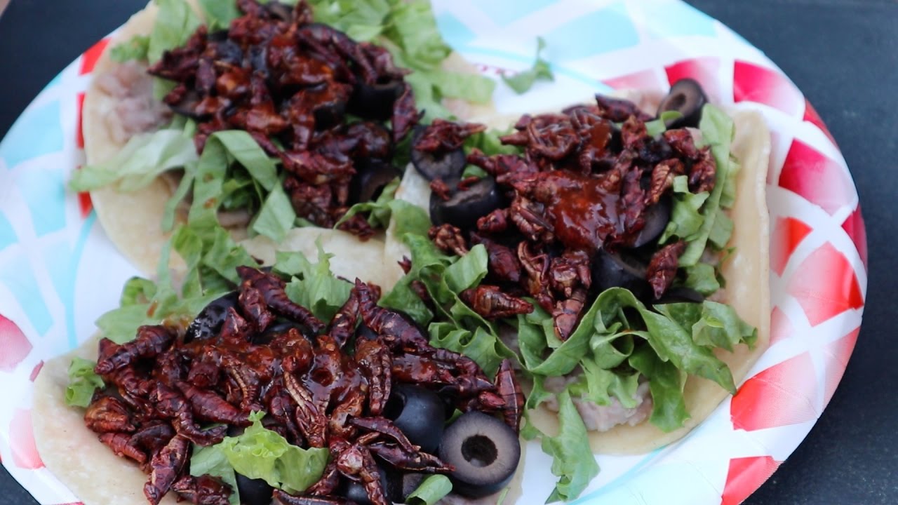 Cinco De Mayo Chapulines... So good!