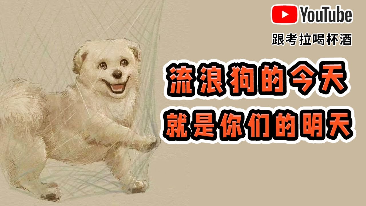 流浪狗的今天，就是你们的明天——送给那些拍手叫好的傻逼