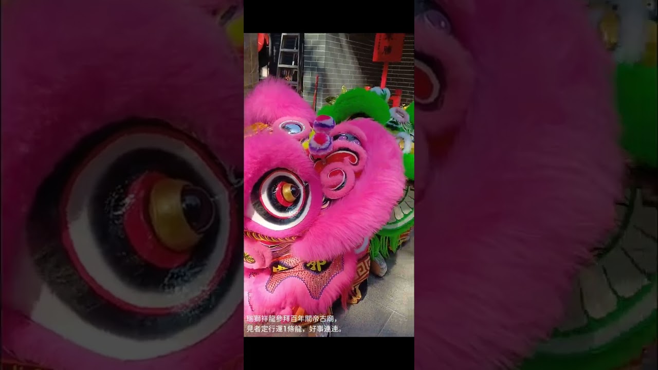 年初二巧遇祥龍瑞獅參拜百年關帝古廟