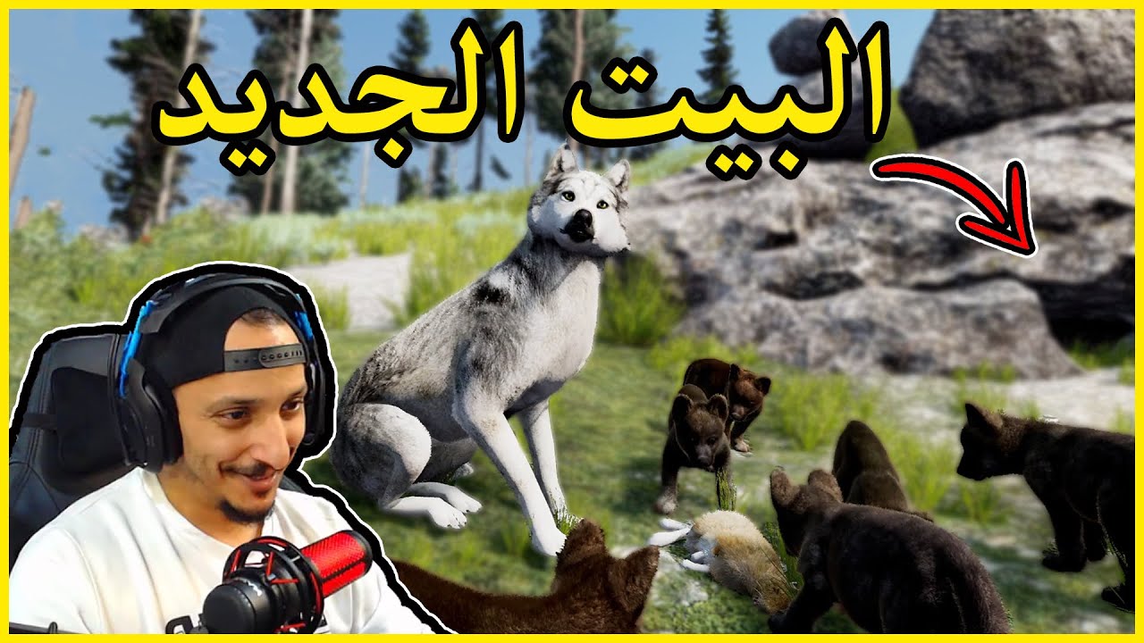 حياة الذيب #9 | رحلة الى البيت الجديد Wolf Quest