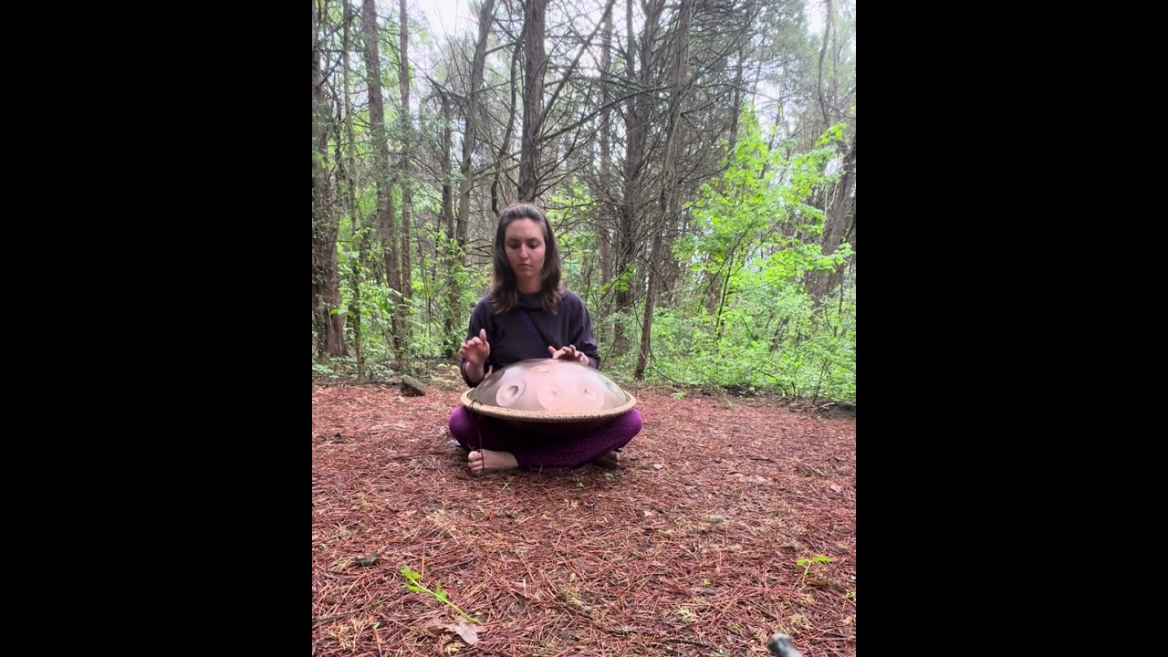 Freestyle in the Woods