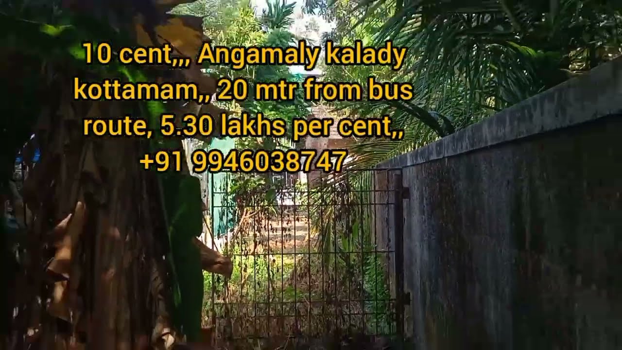 10 cent, Angamaly kalady kottamam,5.5 lakhs per cent p#youth face