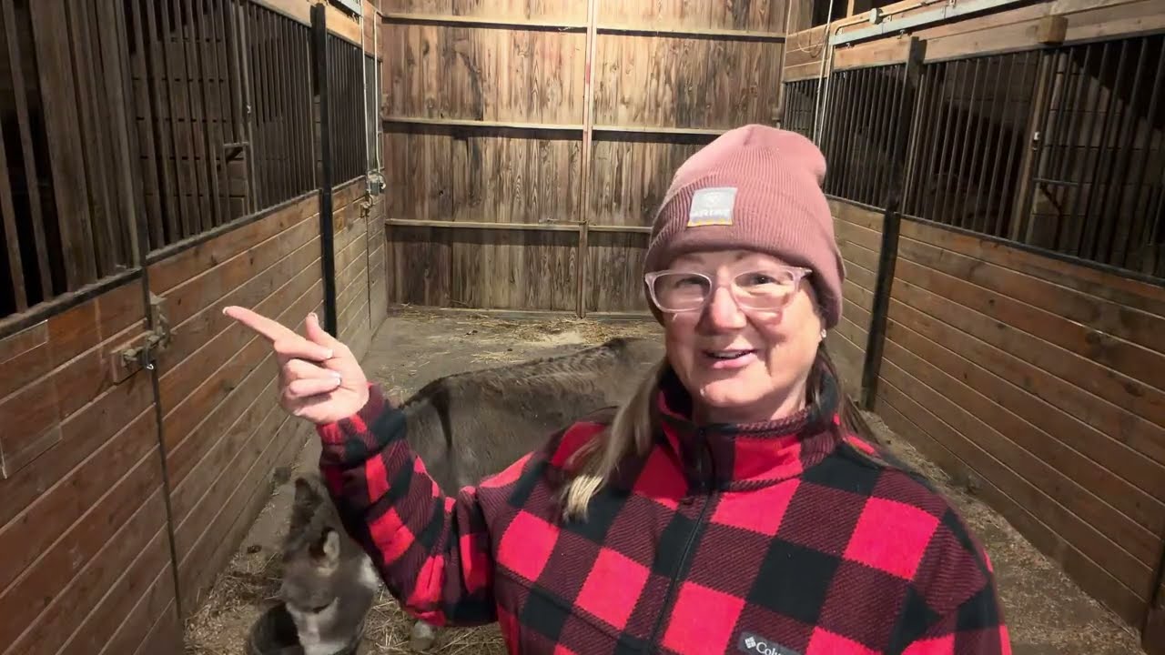 Time to feed the horses. Friday night 