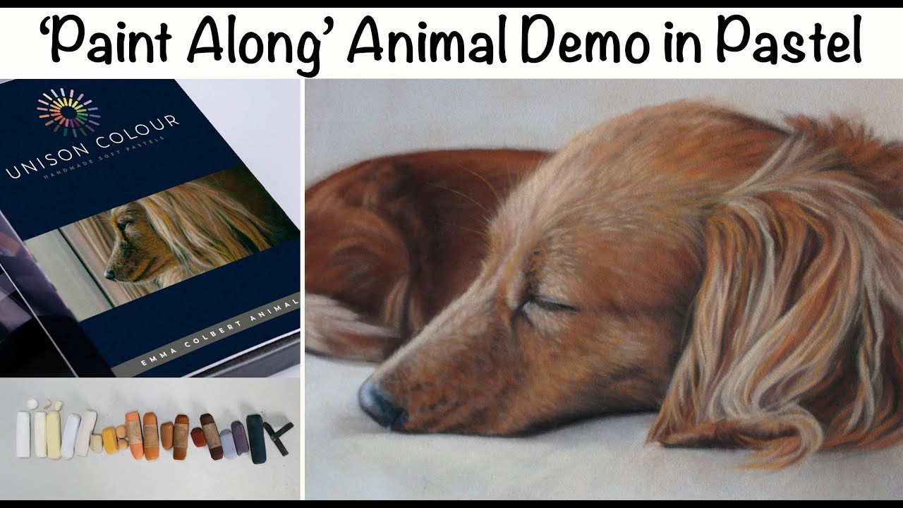 Dog Portrait of Sleeping Dachshund using Unison Animal Set: 'Paint Along' Full Demo