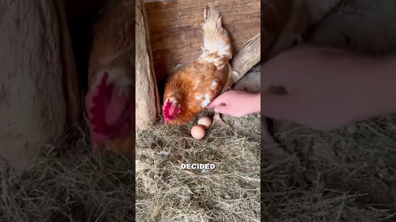 Starting a new life 