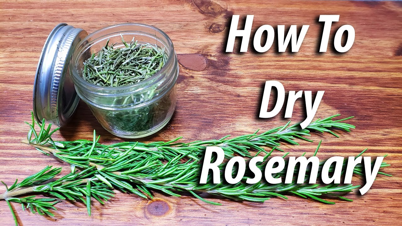 How To Dry Rosemary (2019) Four Different Ways!
