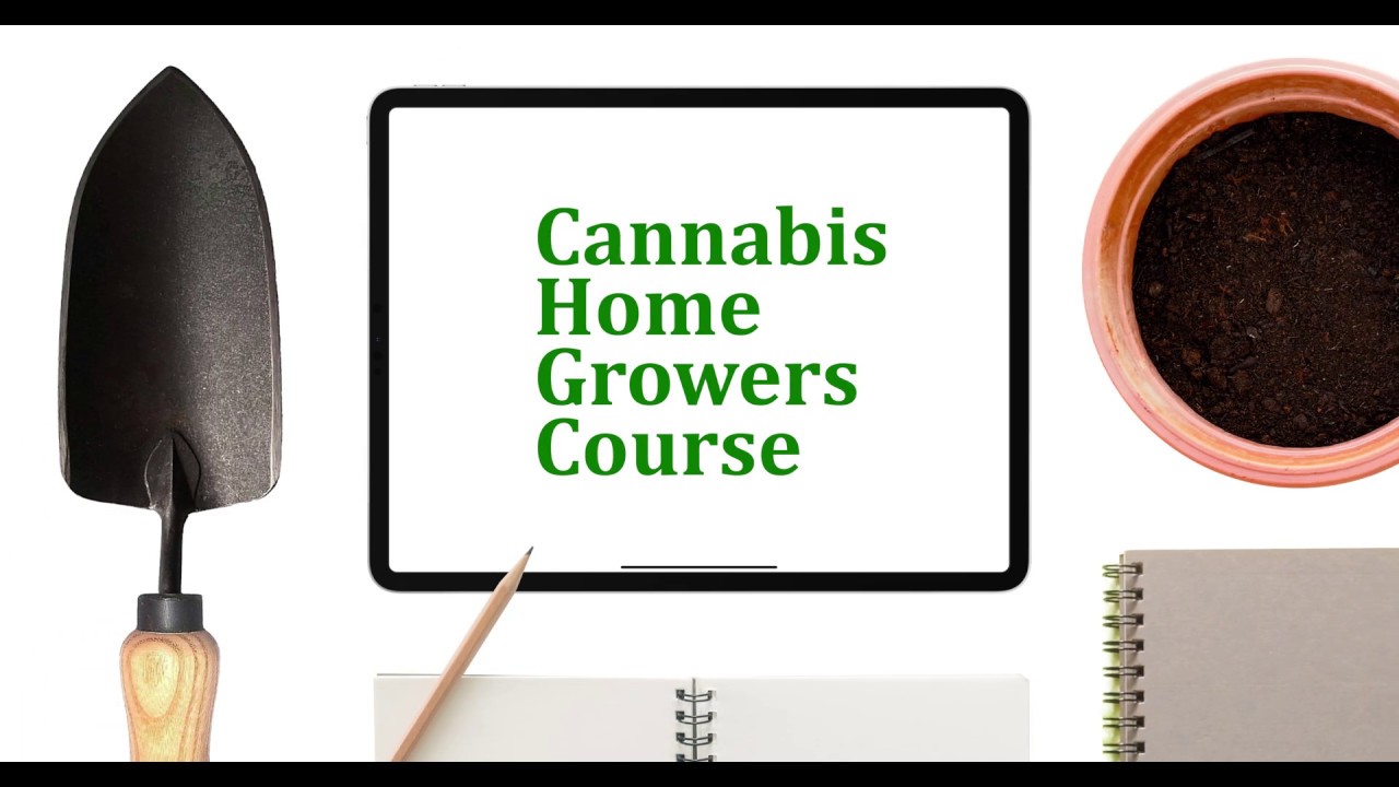 Cannabis Home Growers Course Promo Video