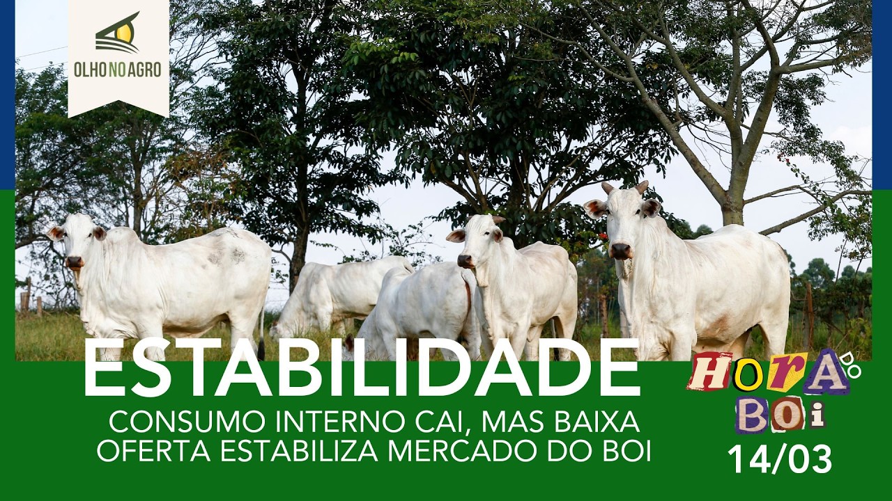 HORA DO BOI 16/03 - CONSUMO INTERNO CAI, MAS BAIXA OFERTA ESTABILIZA MERCADO DO BOI