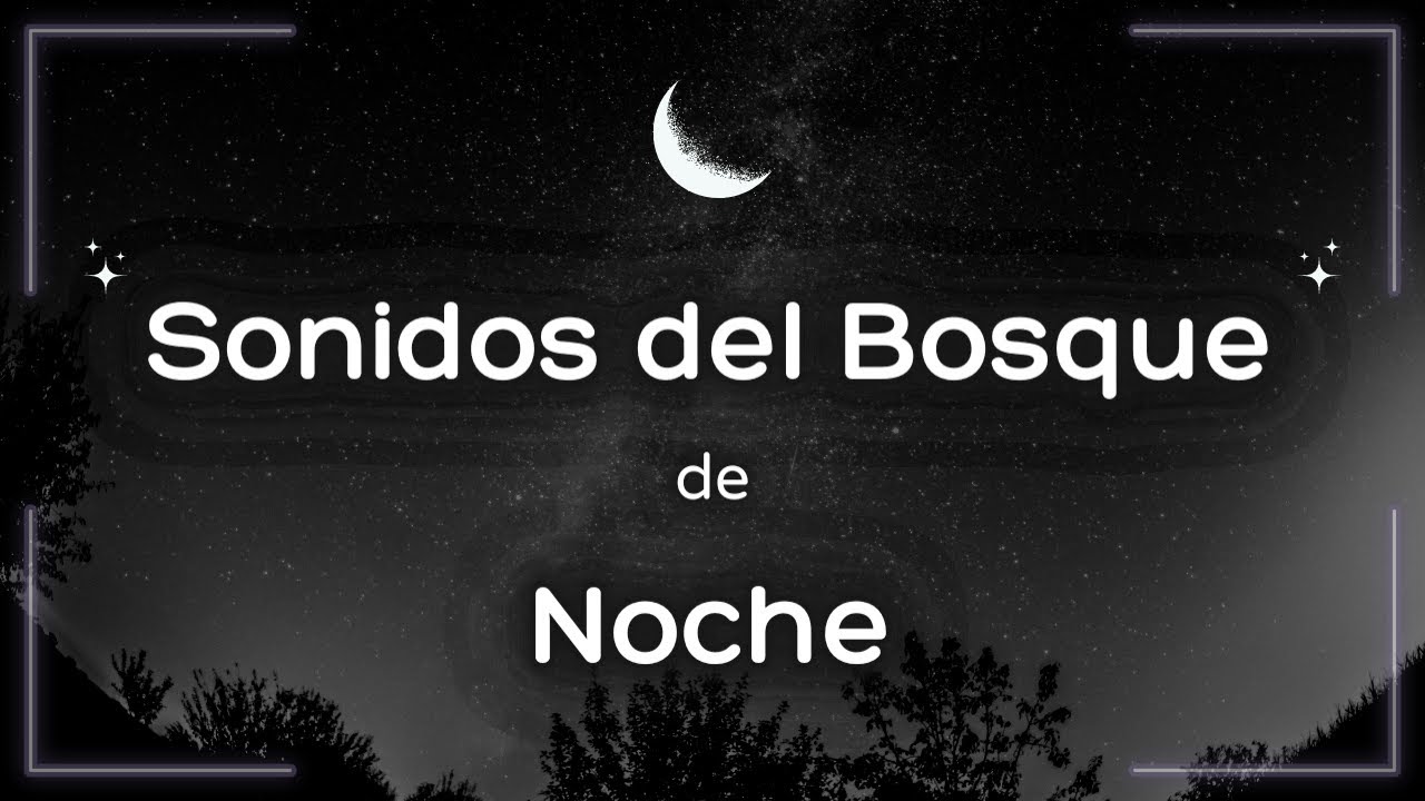 SONIDOS DEL BOSQUE DE NOCHE | SONIDOS RELAJANTES PARA DORMIR | ELIMINA EL ESTRES | DUERME PROFUNDO