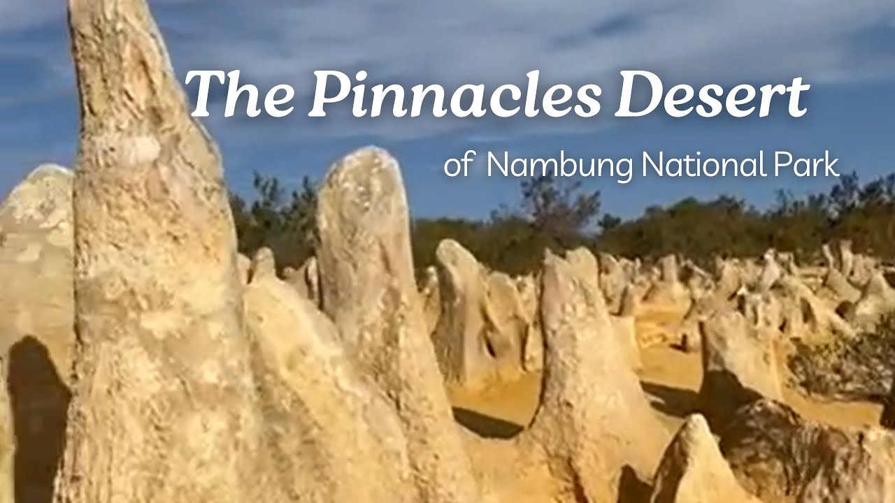 The Pinnacles Desert