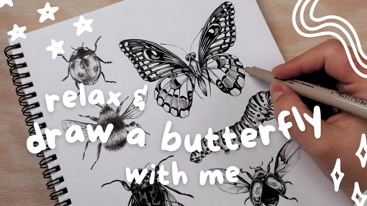 How to Draw a Realistic Butterfly With a Pen // Follow Along Drawing Process :)