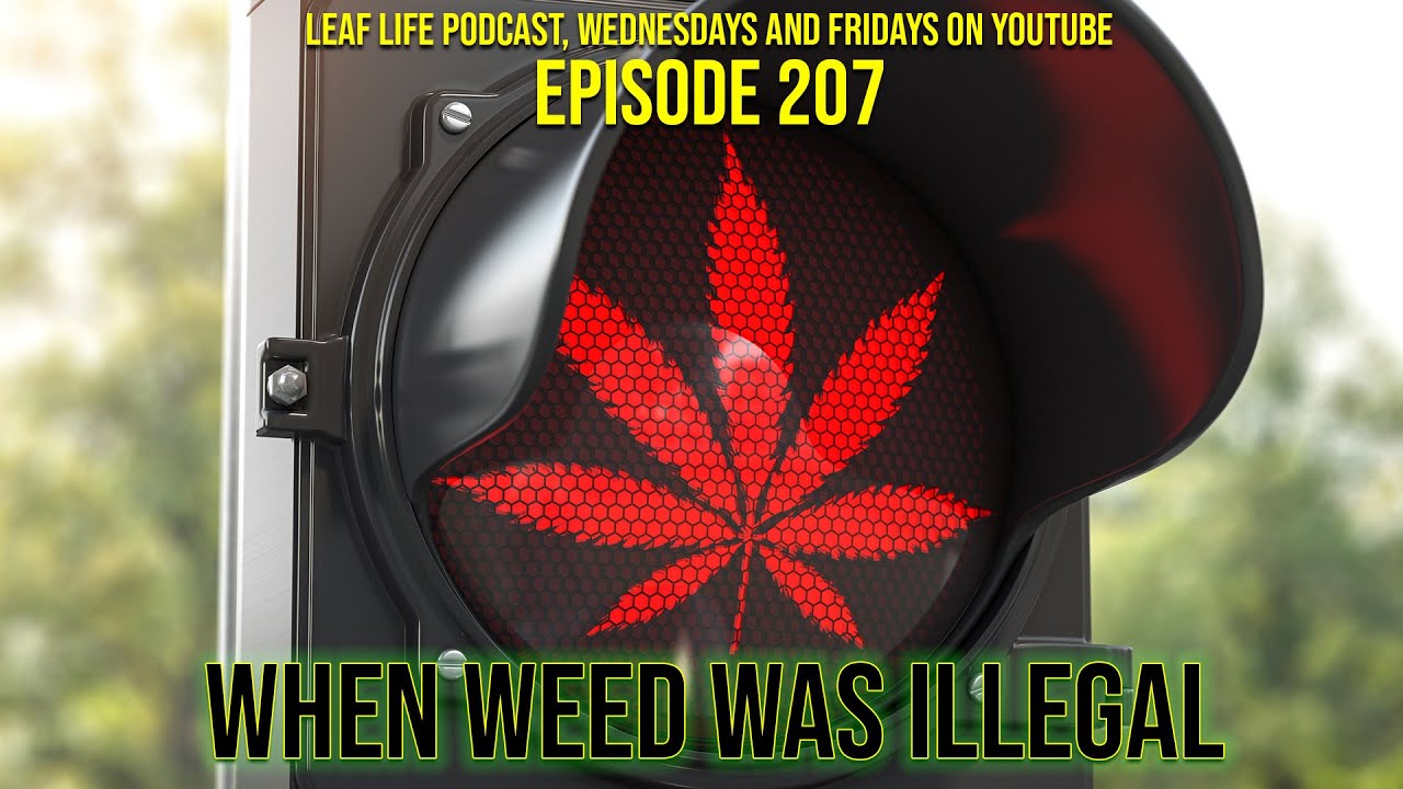 WHEN WEED WAS ILLEGAL - Leaf Life 207 - Part 1