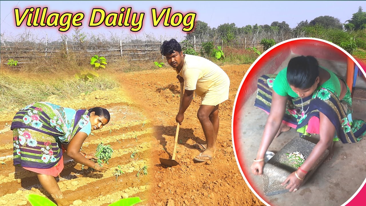 Village  couple vlog | village working daily vlog