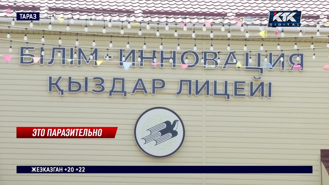 Насекомые заполонили школьное общежитие в Таразе