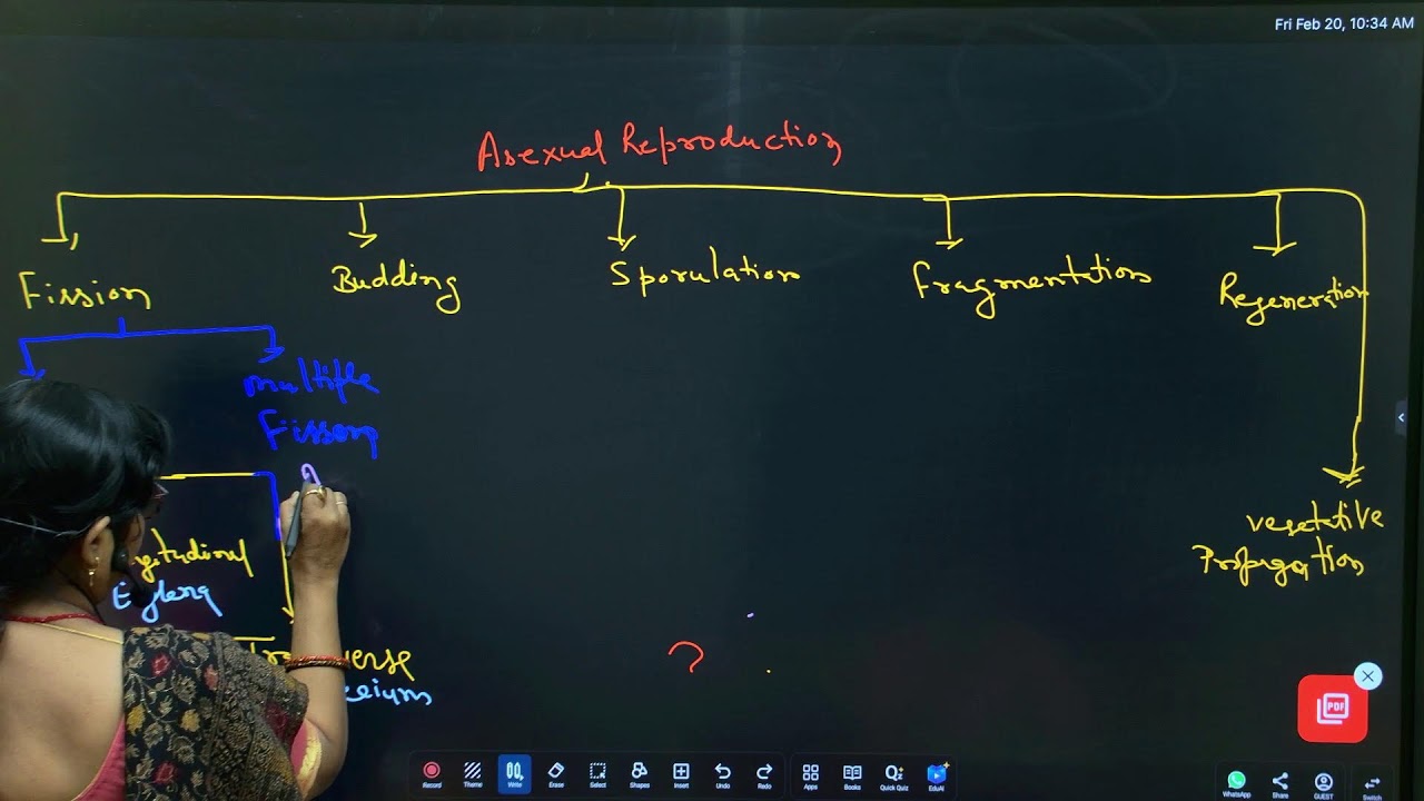 BSEB Class 12 | BIOLOGY | Types of Asexual Reproduction |12th TOPPERS LEAGUE 2027 | Grip Arena