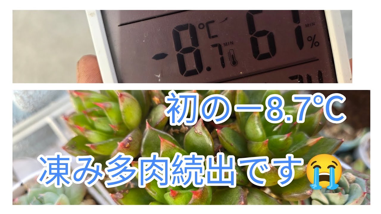 マ、ママイナス8.7℃？！🥶🥶🥶🥶