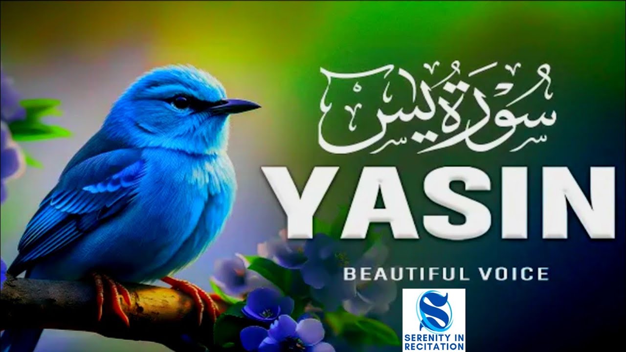 Surah Yasin (سورة يس) | Relaxing Quran Recitation to Ease the Mind #lofiquran​ 