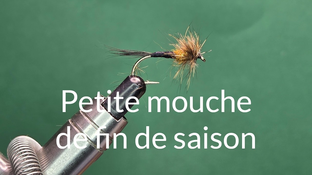 Petite mouche de fin de saison - One Fly A Day