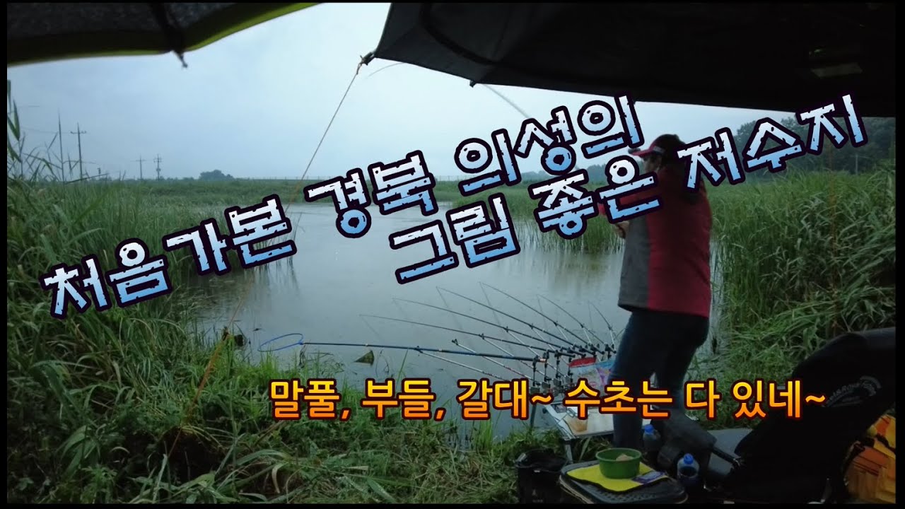 처음으로 경북의성으로 가 보았습니다.~