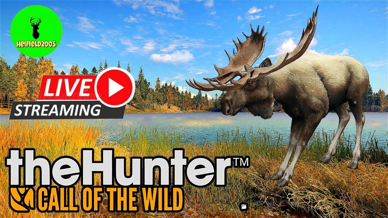 Moose Grind 588 Kills The Hunter Call Of The Wild