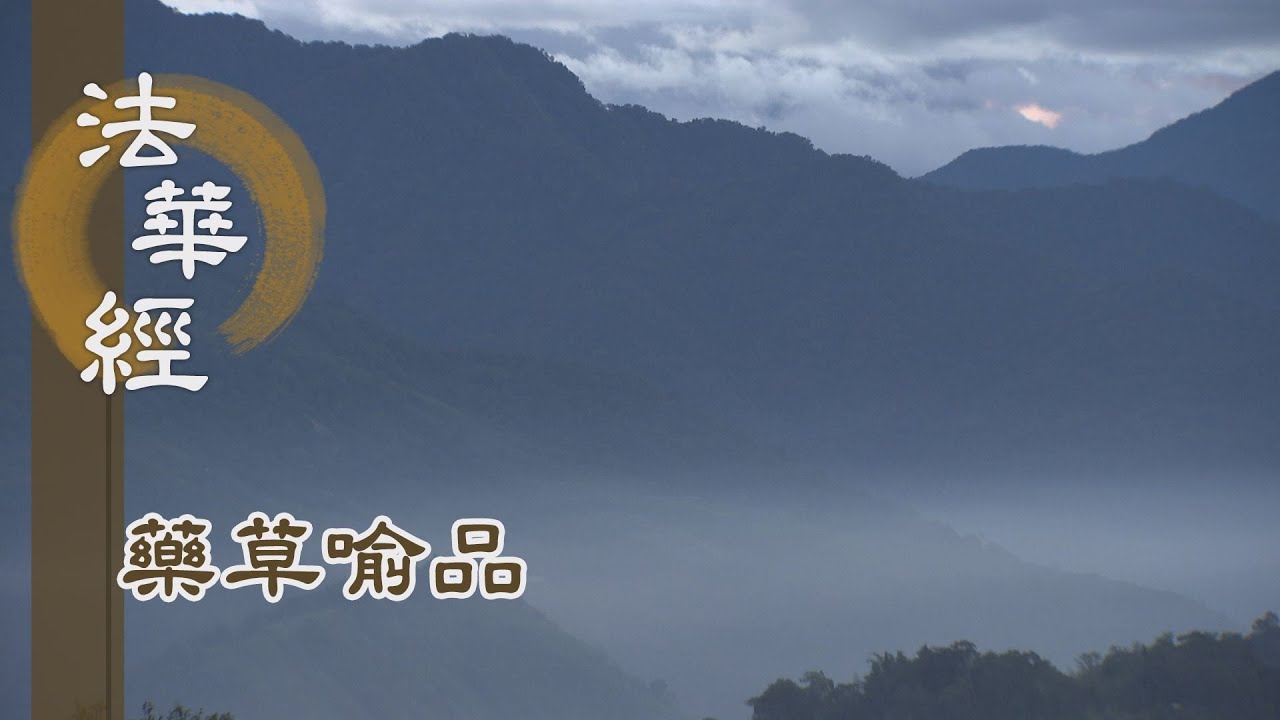 【靜思妙蓮華】法華經藥草喻品 - 澍法雨 利眾生 - 20210630 第877集