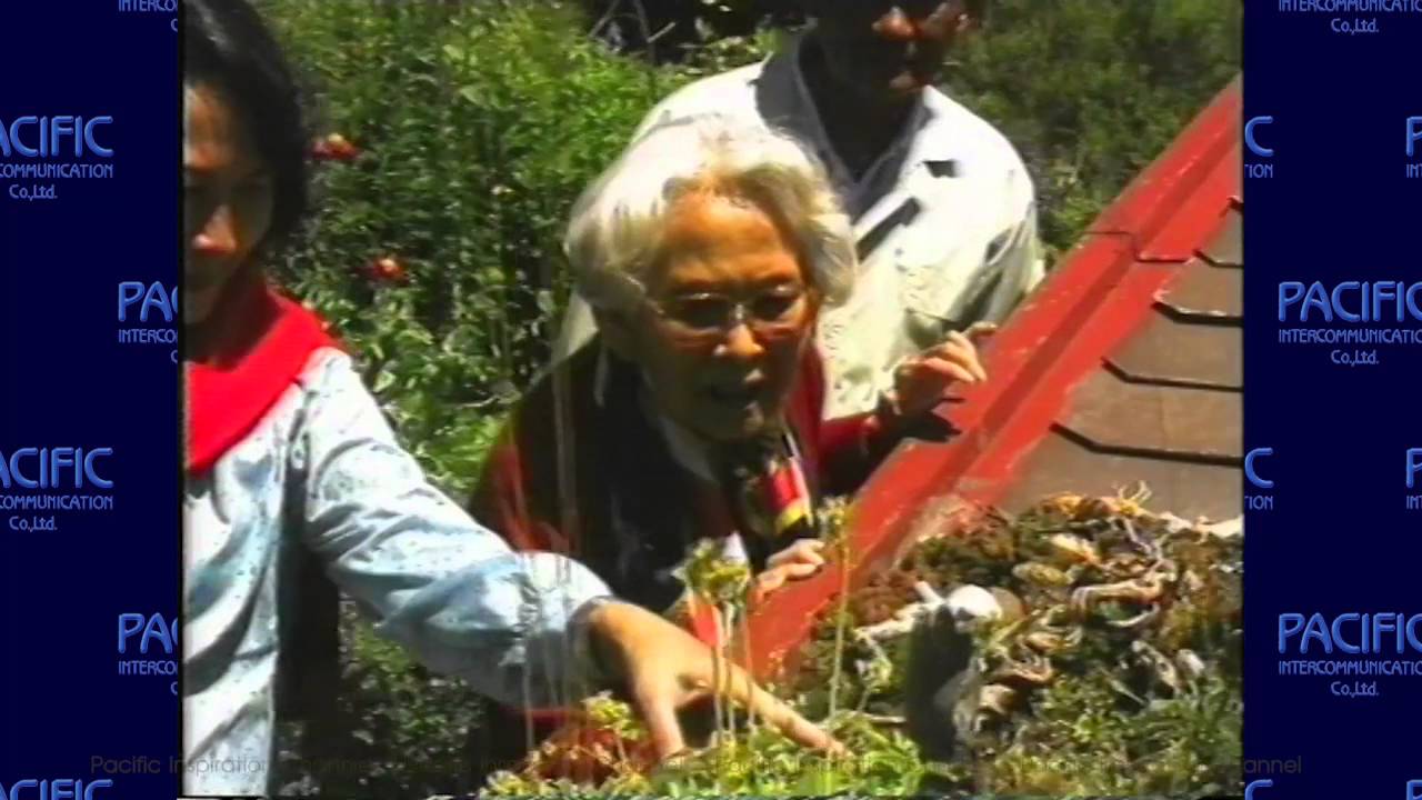 ลูกสาวของแม่:สมเด็จพระเจ้าพี่นางเธอ เจ้าฟ้ากัลยาณิวัฒนา กรมหลวงนราธิวาสราชนครินทร์
