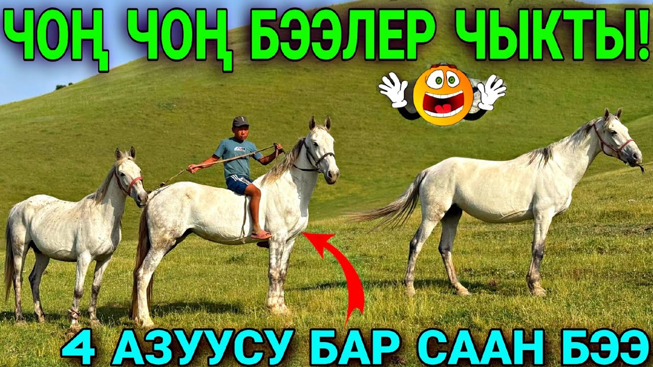 ОХО БАЗАРДА ТАЛАШ БОЛГОН БЭЭЛЕР ЧЫКТЫ 🔥#байтв