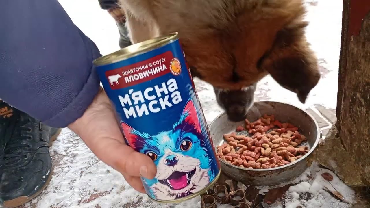 ЧУДО ПРОДОВЖУЄТЬСЯ. ІЛАРІЯ ПРИСЛАЛА ПОСИЛКУ.