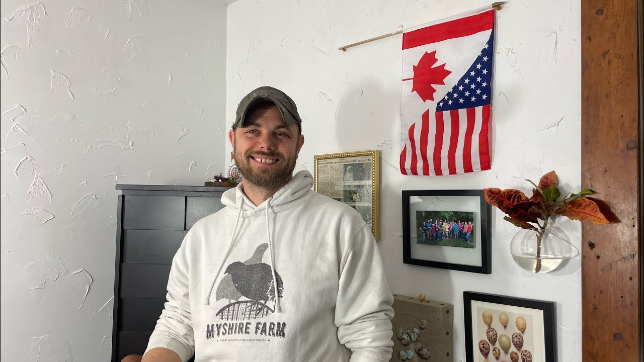 3 decisions to make before you start raising Coturnix quail. #myshirefarm #coturnixquail #gocanada