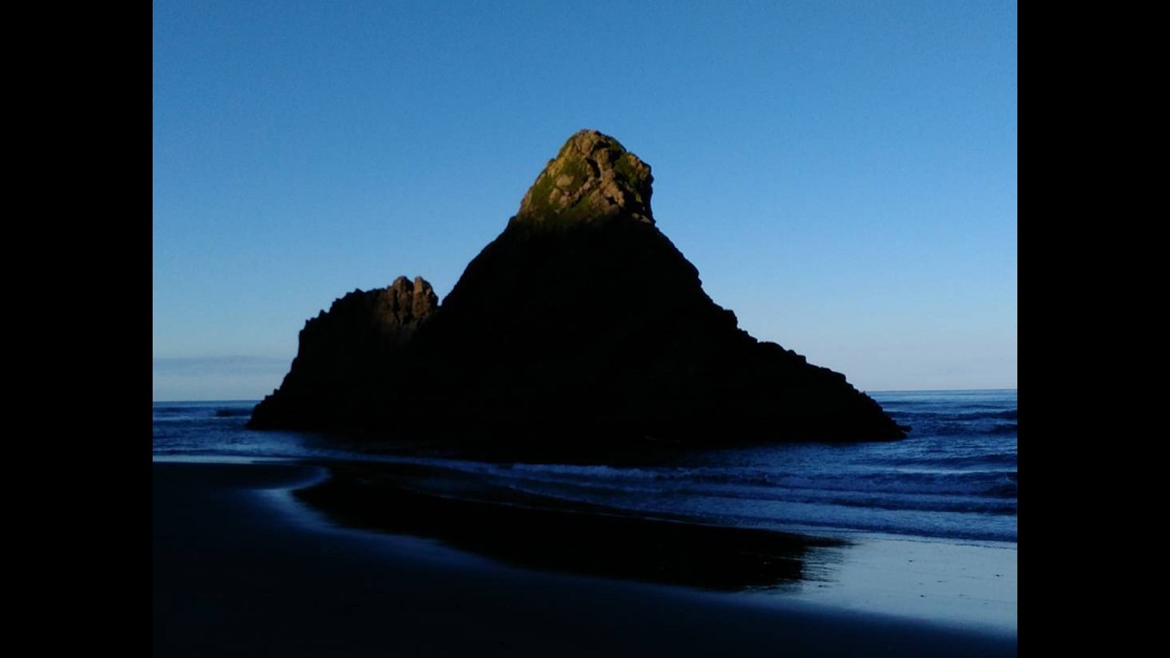 Walk: Cave Rock Track, Cat Trapping and a Seal, Karekare (Waitakere Ranges).